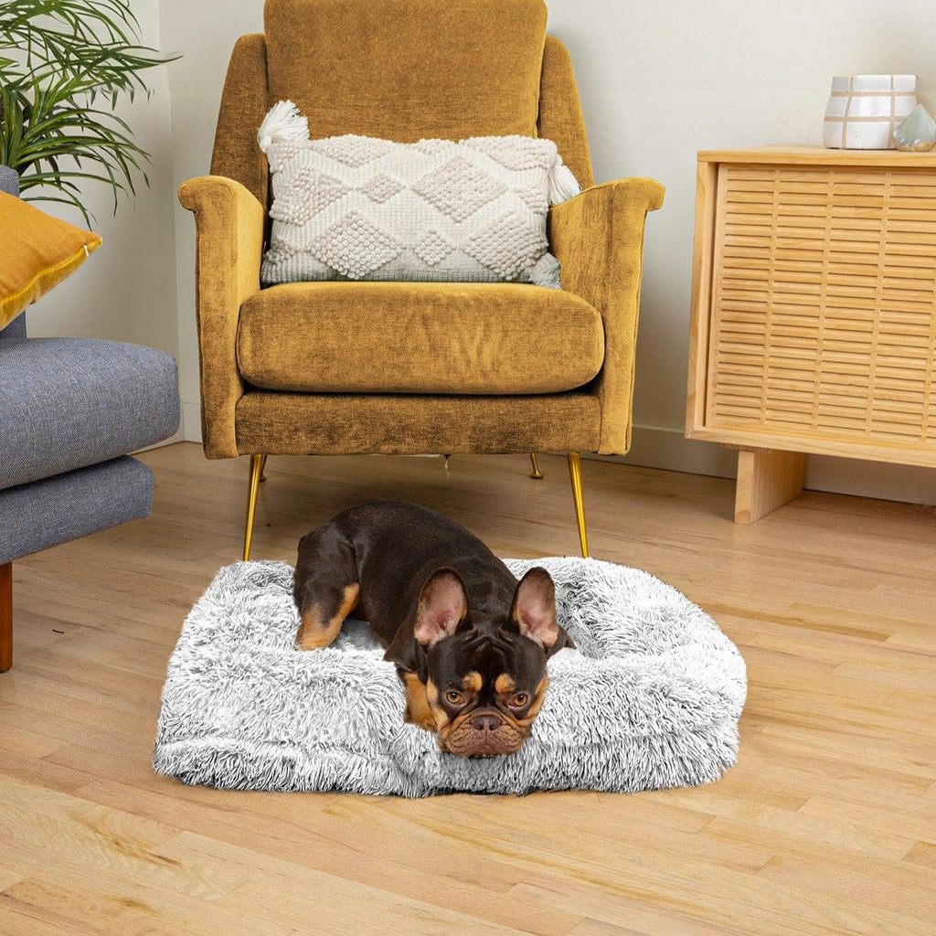 Skanto | SNUGPAW - Ortopedisk Hundeseng