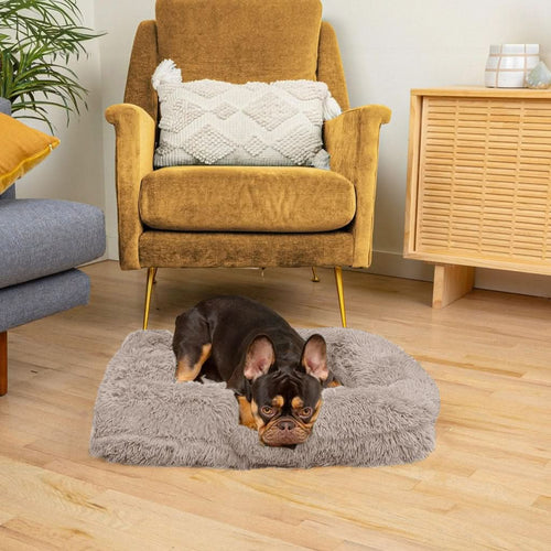Skanto | SNUGPAW - Ortopedisk Hundeseng
