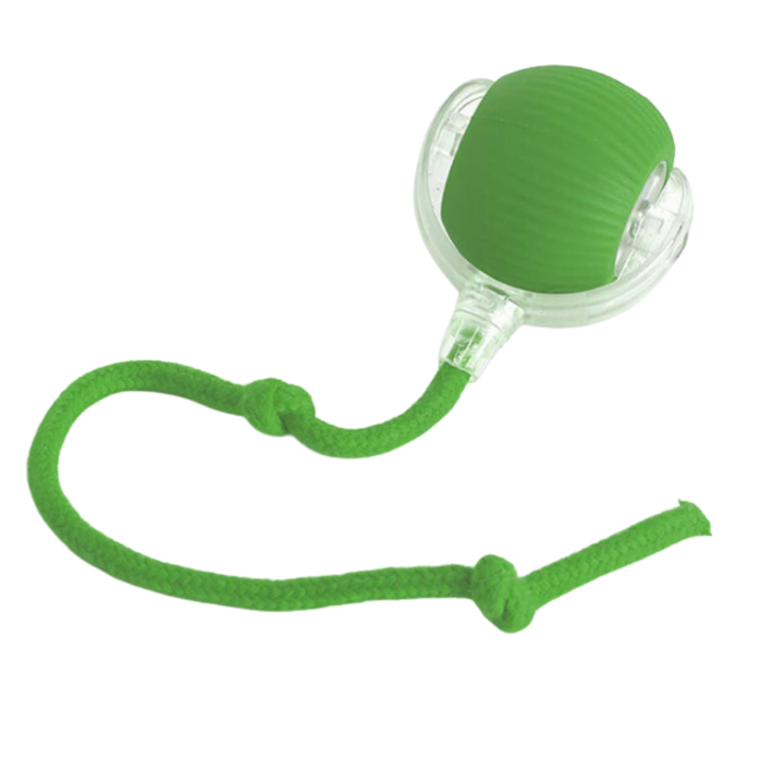 Smart, Interaktiv Katteball-Leke