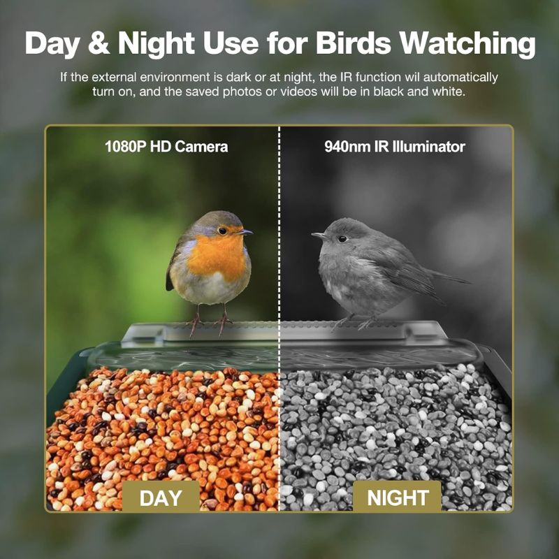 Skanto | Smart Bird Feeder med PIR bevegelsedeteksjon og automatisk opptak