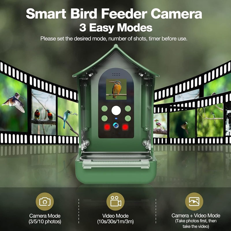 Skanto | Smart Bird Feeder med PIR bevegelsedeteksjon og automatisk opptak