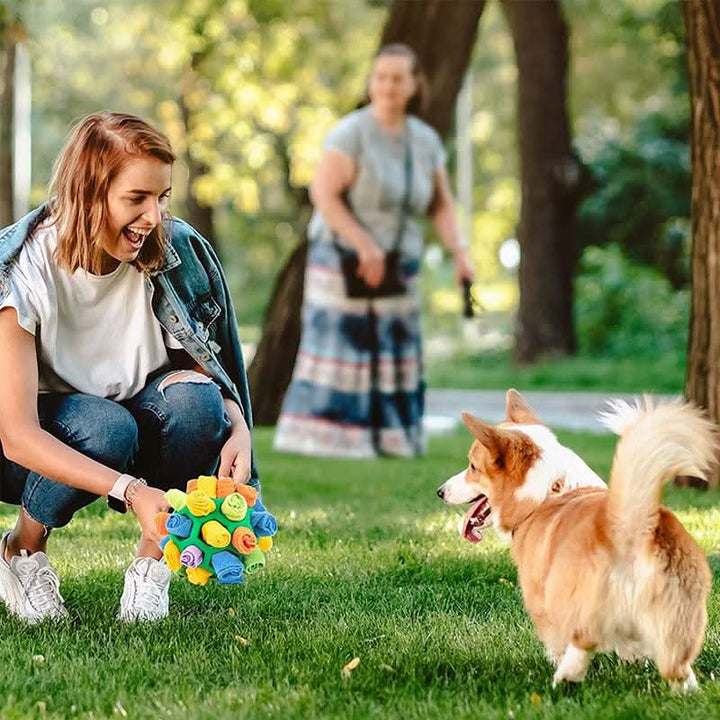 Skanto | SNUFFLEFUN – Interaktiv snuffle leke for mental stimulering av kjæledyr