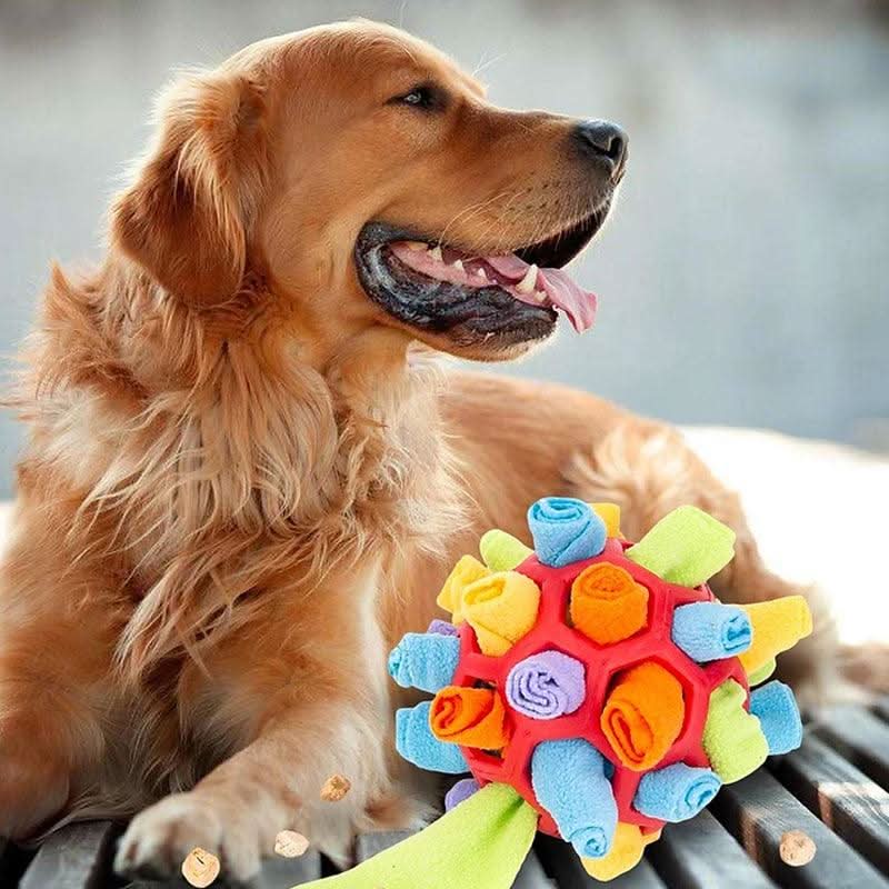 Skanto | SNUFFLEFUN – Interaktiv snuffle leke for mental stimulering av kjæledyr