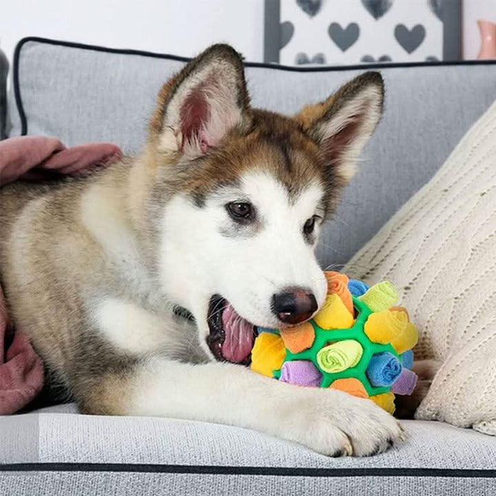 Skanto | SNUFFLEFUN – Interaktiv snuffle leke for mental stimulering av kjæledyr