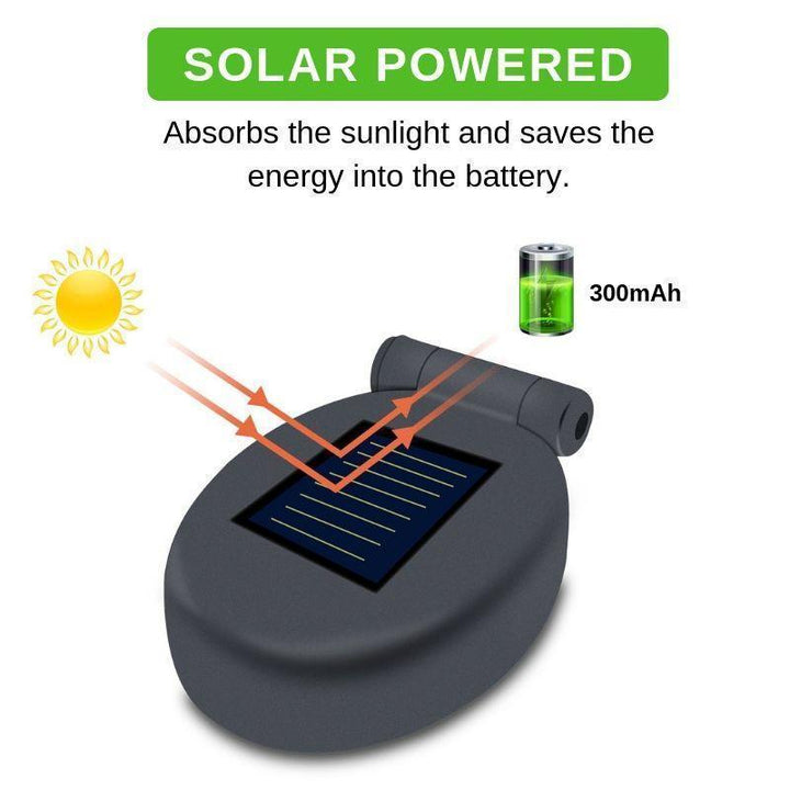 Skanto | Solcelle LED Roser