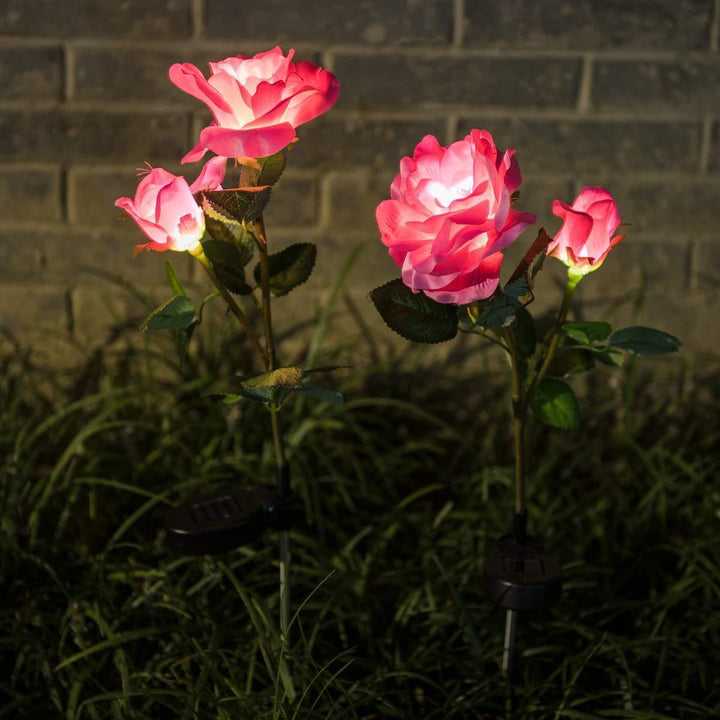 Skanto | Solcelle LED Roser