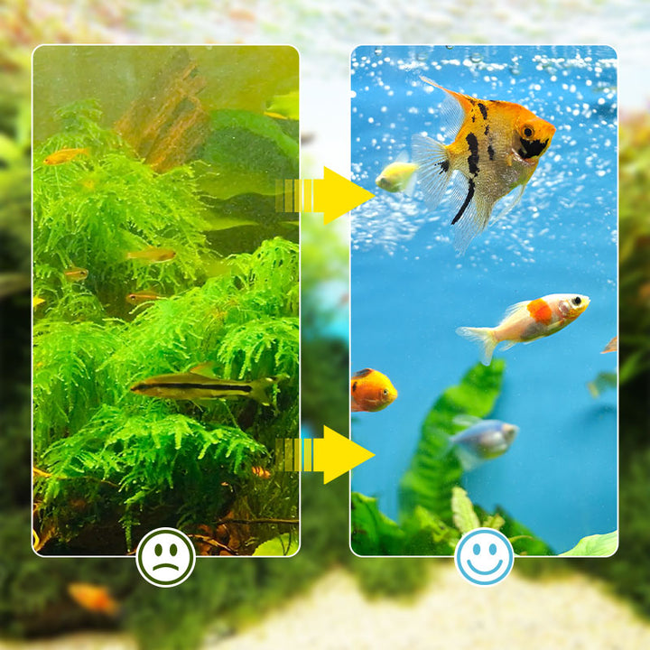 Skanto | Sandsberg-In-1-Aquariefilter