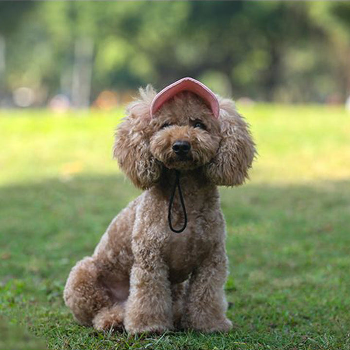Skanto | Hundehatt