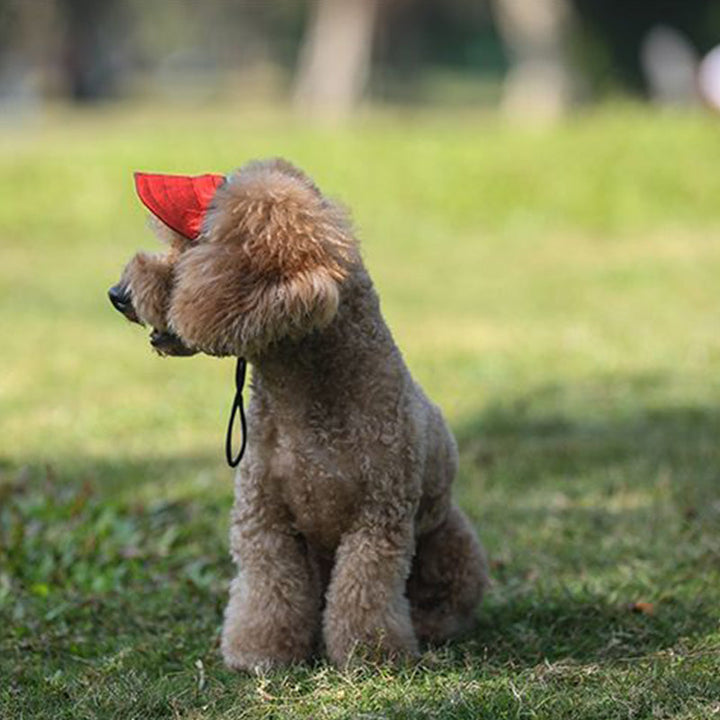 Skanto | Hundehatt