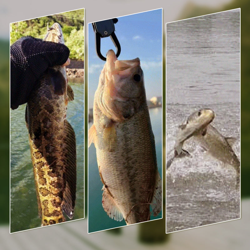Skanto | Realistisk 3D flytende fiskebait sett med 3 krokker