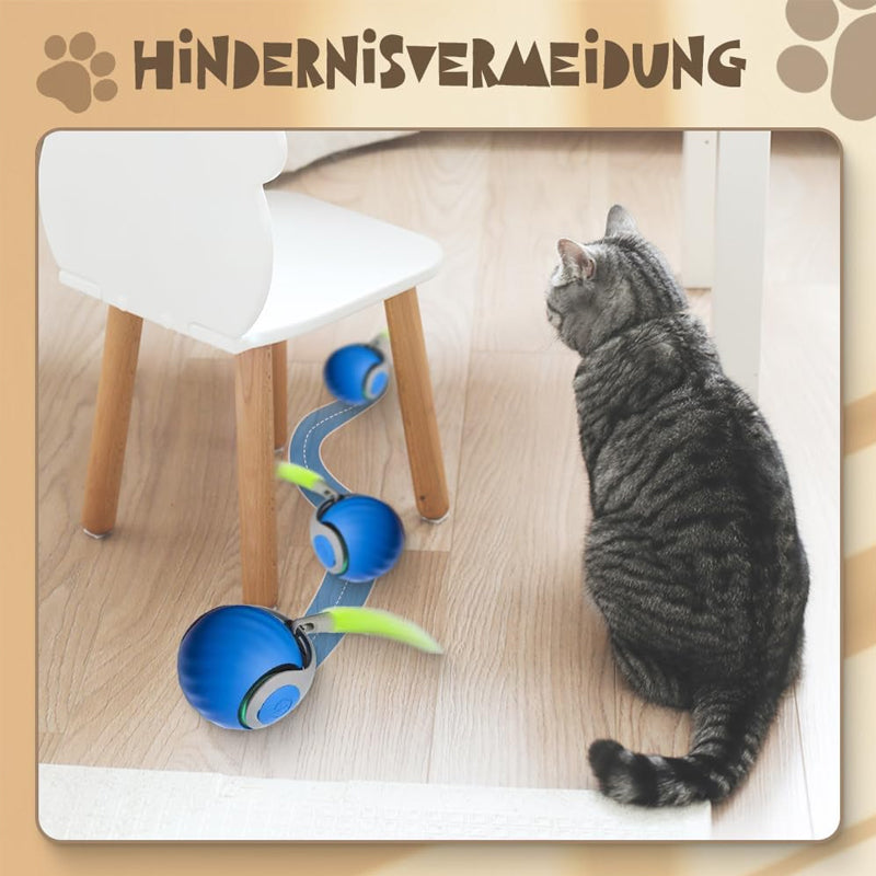 Skanto | Kattball med automatisk intelligent sensor