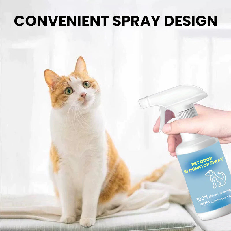 Skanto | 🐱🐶Spray for fjerning av kjæledyrlukt🍃