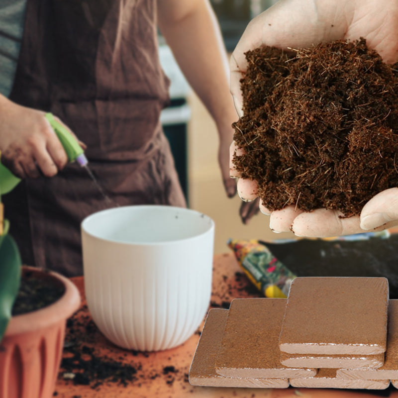 Skanto | Den beste gaven til hagearbeid - Økologisk kokosfiber til planter