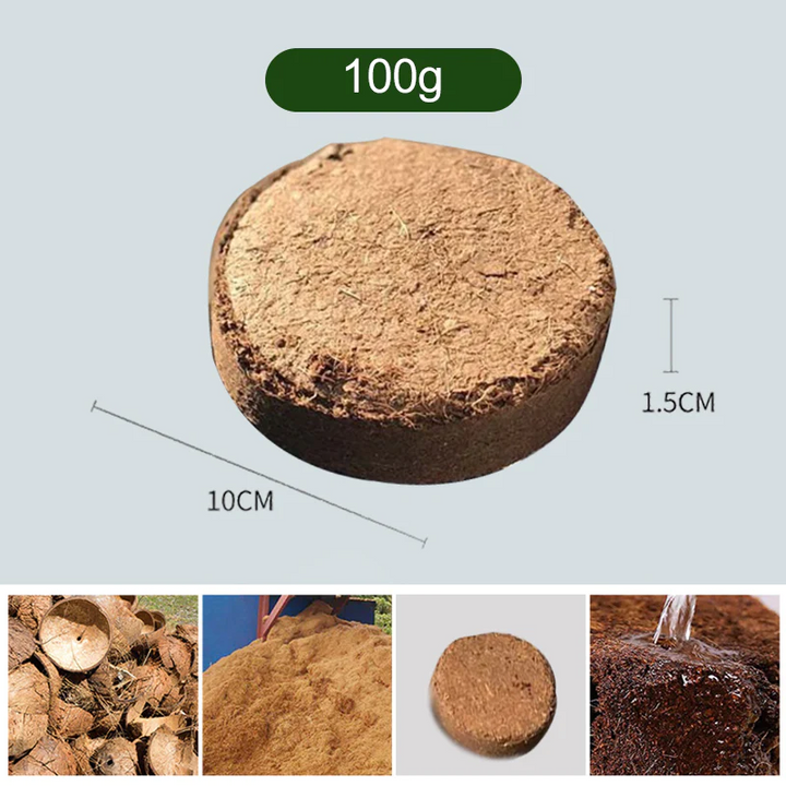 Skanto | Den beste gaven til hagearbeid - Økologisk kokosfiber til planter