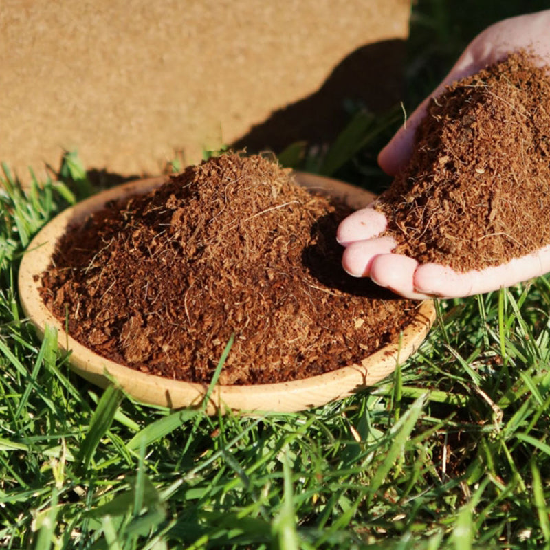 Skanto | Den beste gaven til hagearbeid - Økologisk kokosfiber til planter