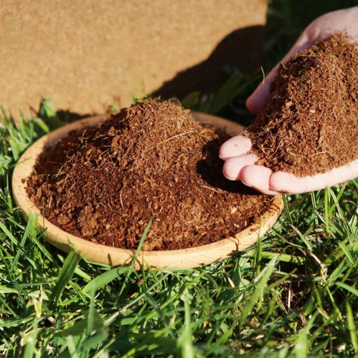 Skanto | Den beste gaven til hagearbeid - Økologisk kokosfiber til planter
