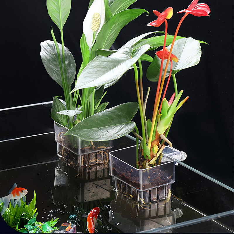 Skanto | Hengende akvarieplanteholder