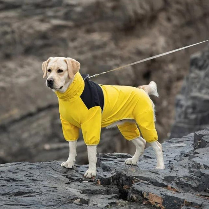 StormGuard • Vanntett regnjakke til hund