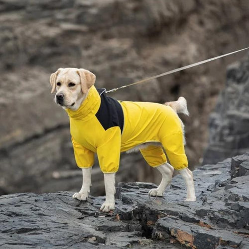StormGuard • Vanntett regnjakke til hund