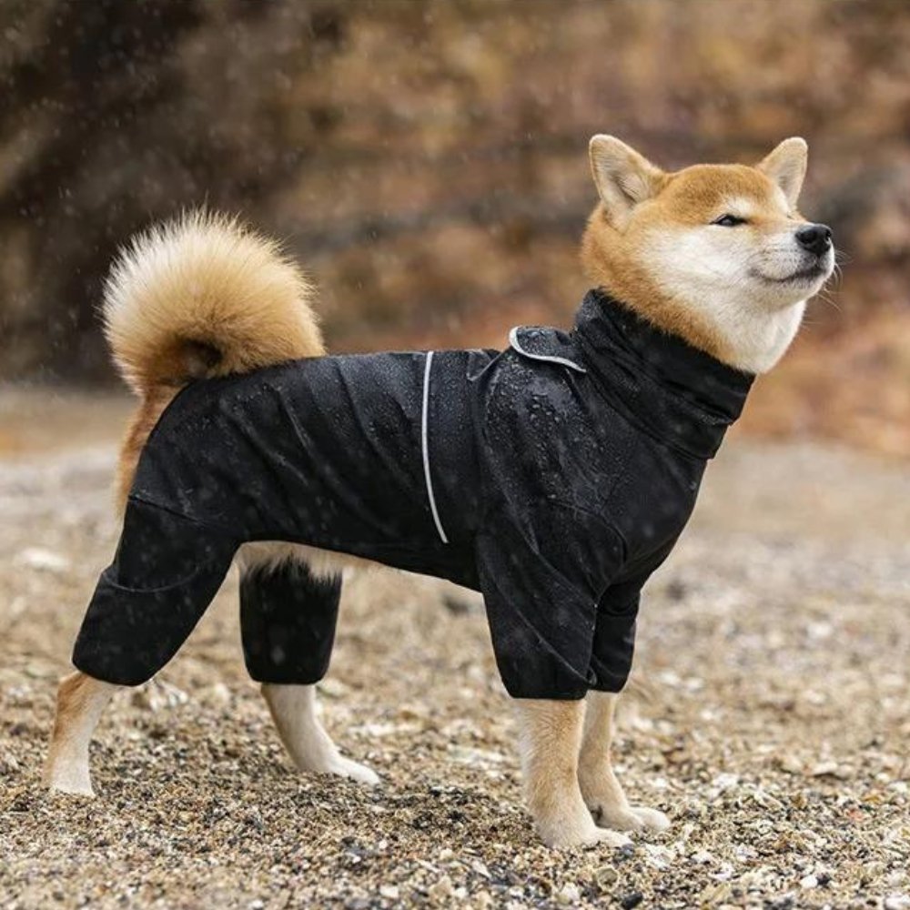 StormGuard • Vanntett regnjakke til hund
