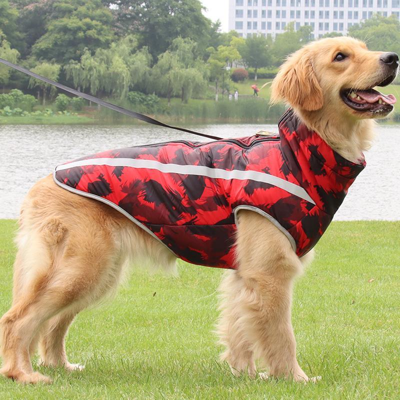 StormGuard Vanntett Vinter Hundejakke Skanto