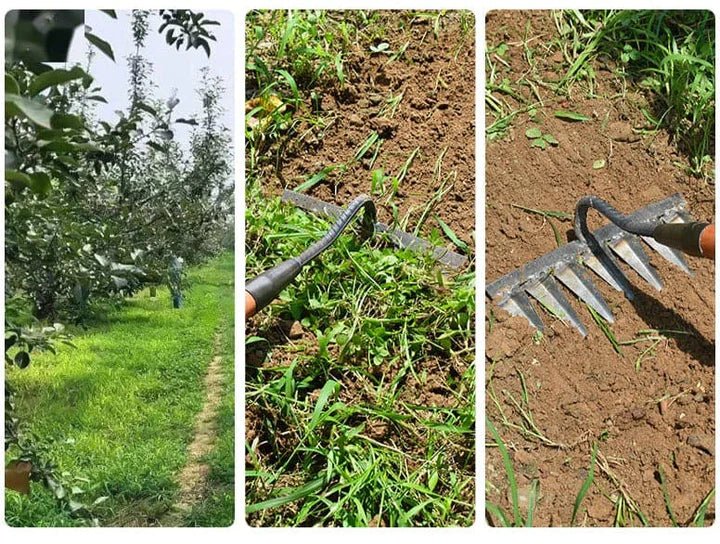 Skanto | GardenBuddy | Transformere hagen din enkelt