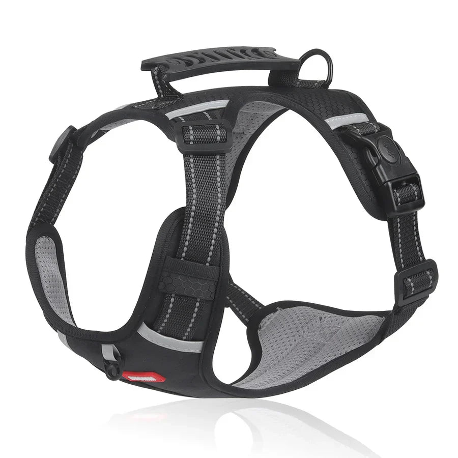 Robust og Komfortabel Hundesele - ActivePup™ Skanto