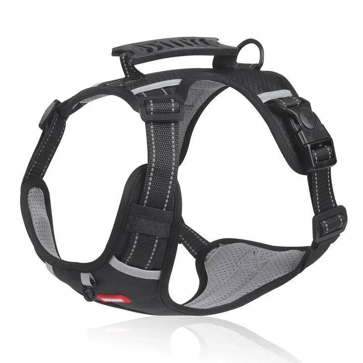 Robust og Komfortabel Hundesele - ActivePup™ Skanto