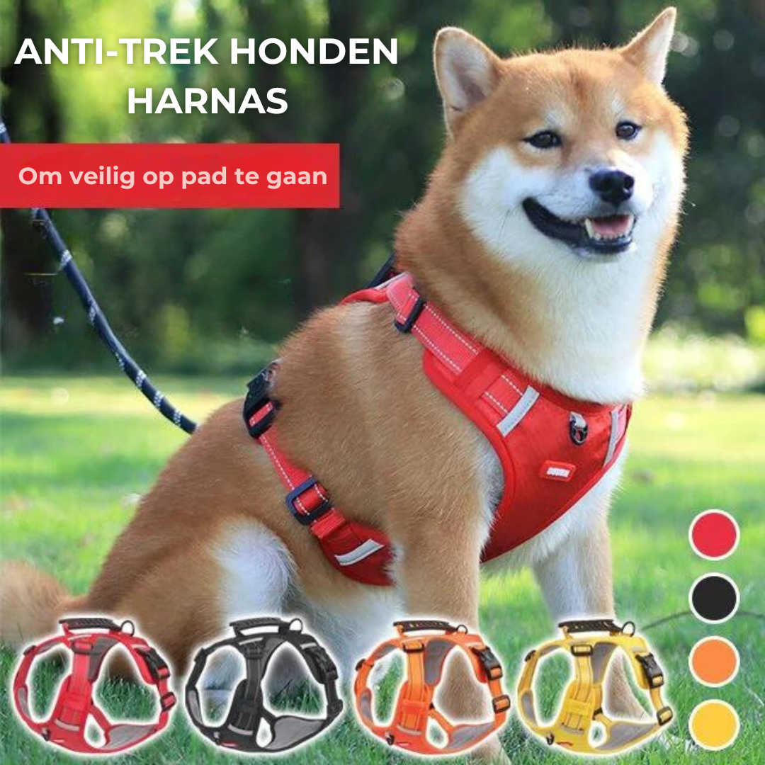 Robust og Komfortabel Hundesele - ActivePup™ Skanto