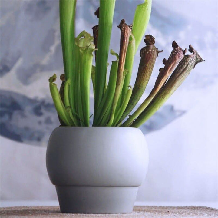 Skanto | SYLENA – Elegant keramisk vase for tidløst design