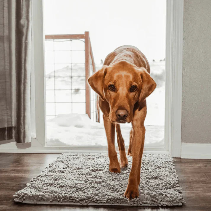 Skanto | Super absorberende hundematte – PawMat