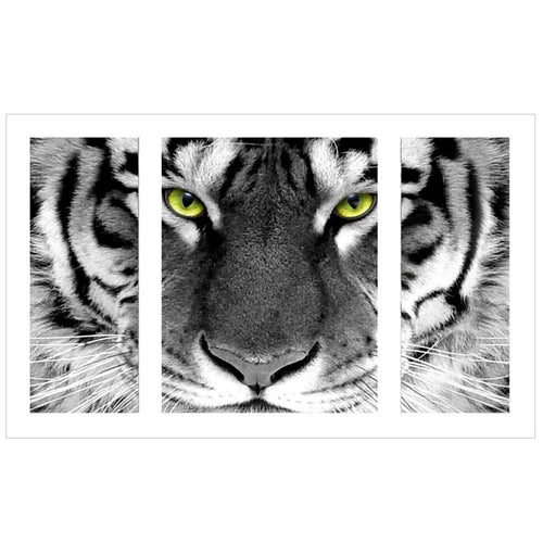 Black and White Tiger - GemPaint Kit | Skanto