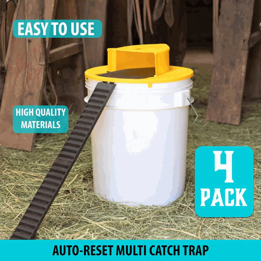 Skanto | 4-Pack Bucket Lokkemusfelle
