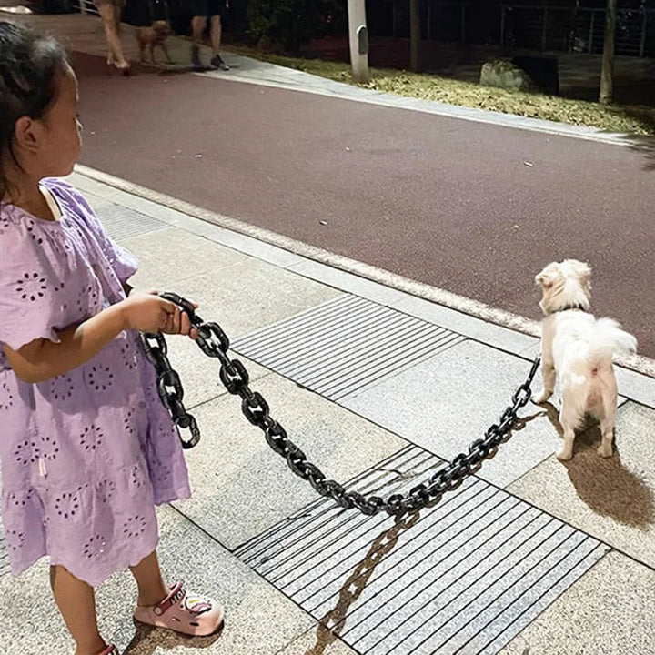 Trendy og Morsom Hundehalsbånd - PawChic Skanto