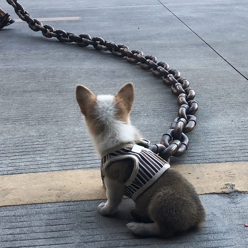 Trendy og Morsom Hundehalsbånd - PawChic Skanto