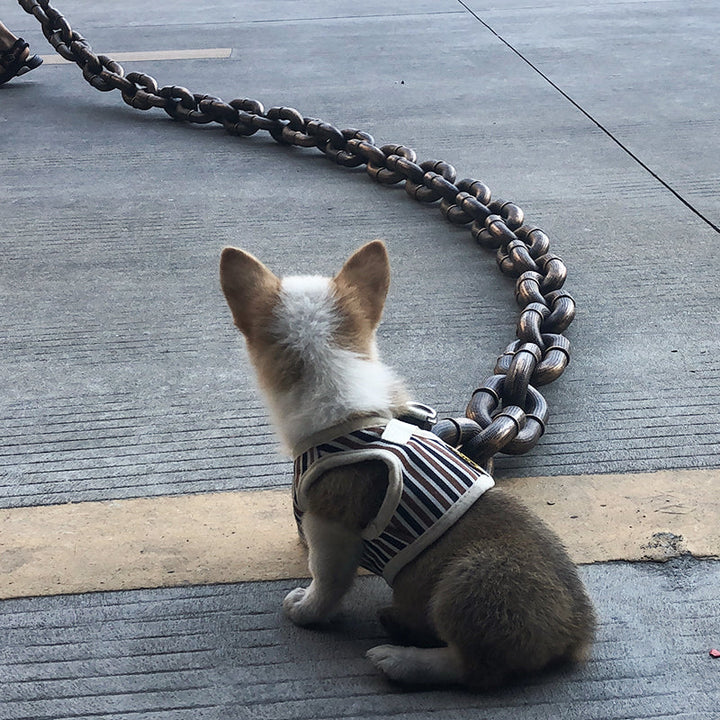 Trendy og Morsom Hundehalsbånd - PawChic Skanto