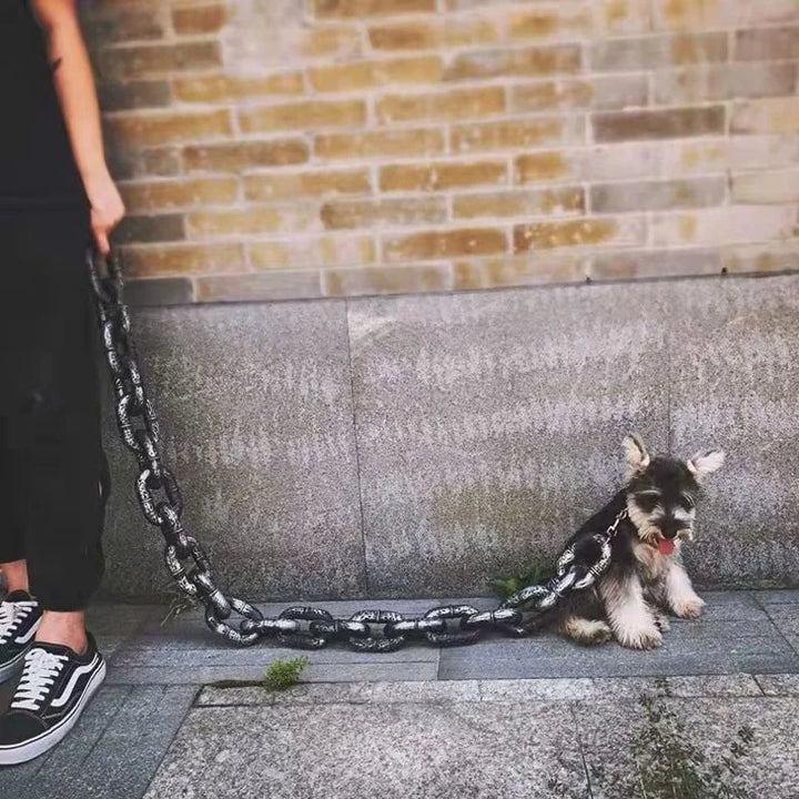 Trendy og Morsom Hundehalsbånd - PawChic Skanto