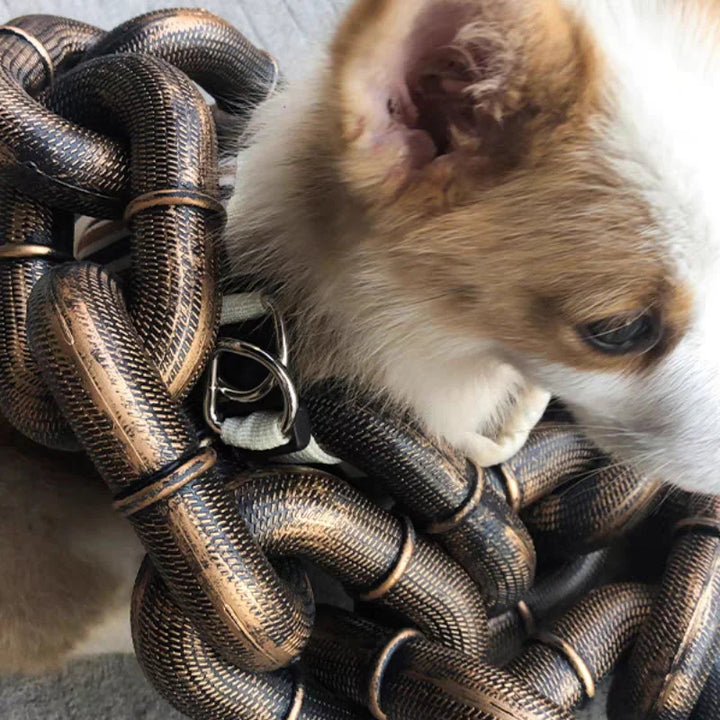 Trendy og Morsom Hundehalsbånd - PawChic Skanto