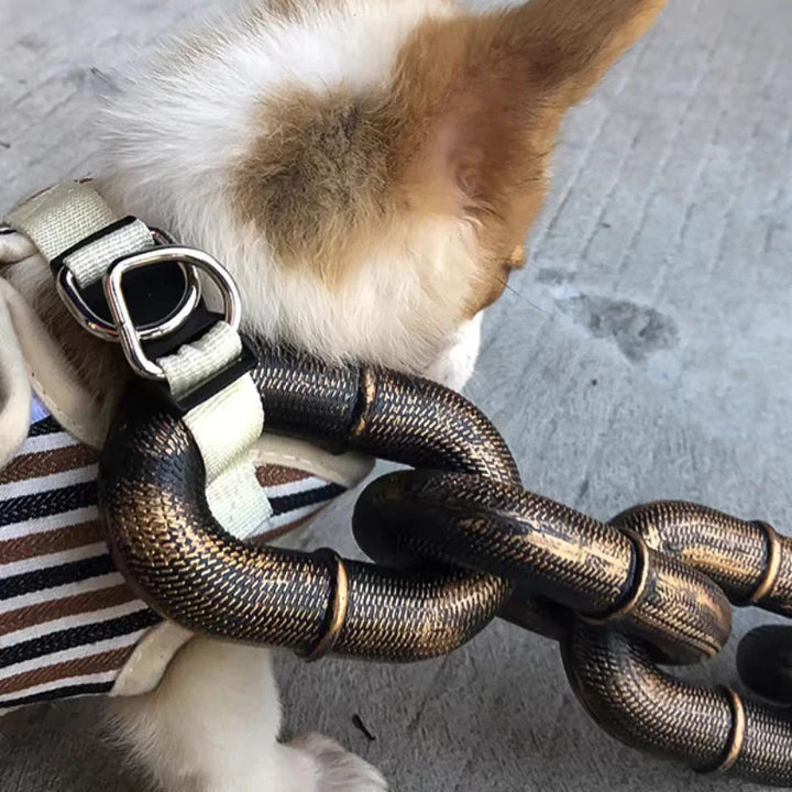 Trendy og Morsom Hundehalsbånd - PawChic Skanto