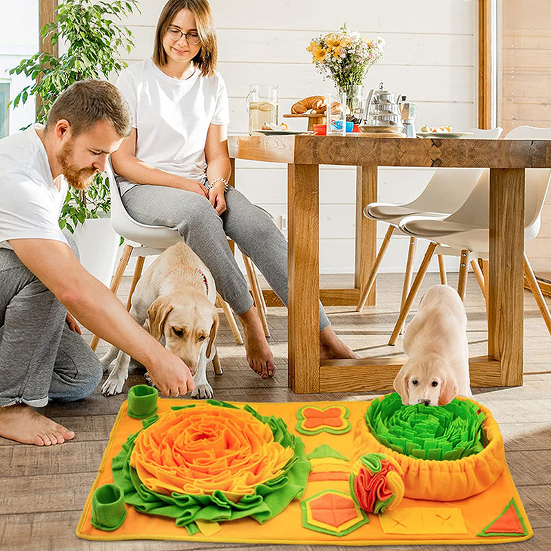 Skanto | Snuffle Mat for Hundar