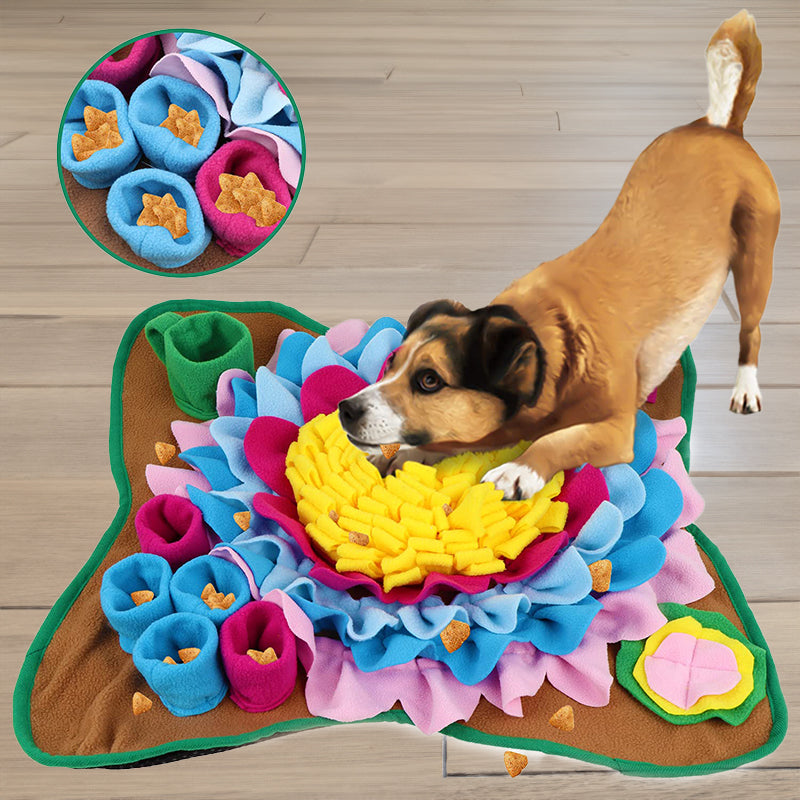 Skanto | Snuffle Mat for Hundar