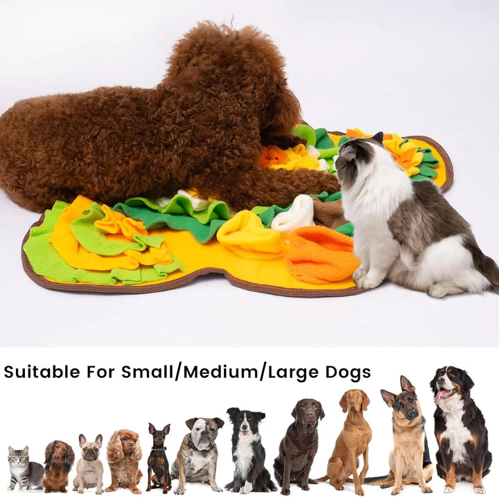 Skanto | Snuffle Mat for Hundar