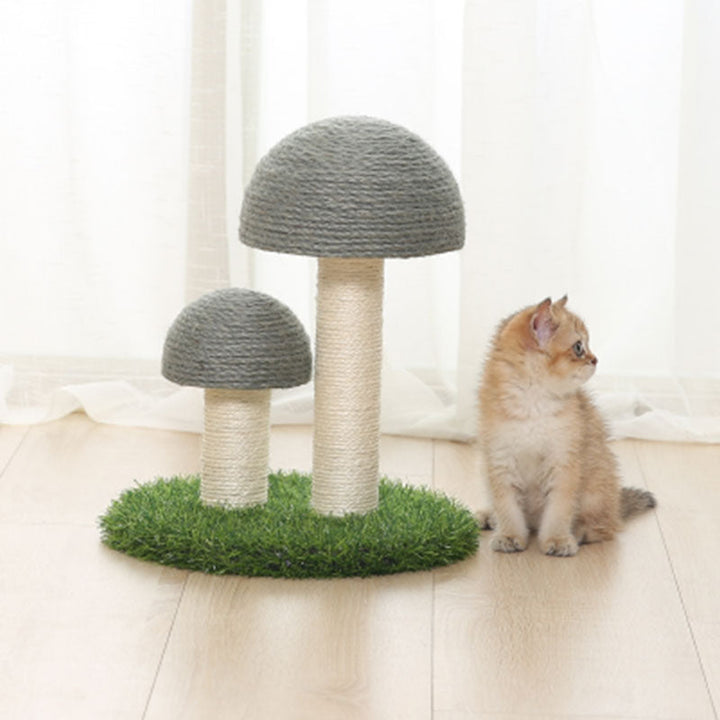 Sisal Katt Soppskrapepost Skanto
