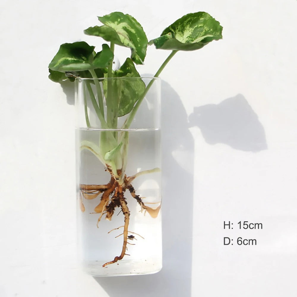 Norvo | Veggvase laget av glass