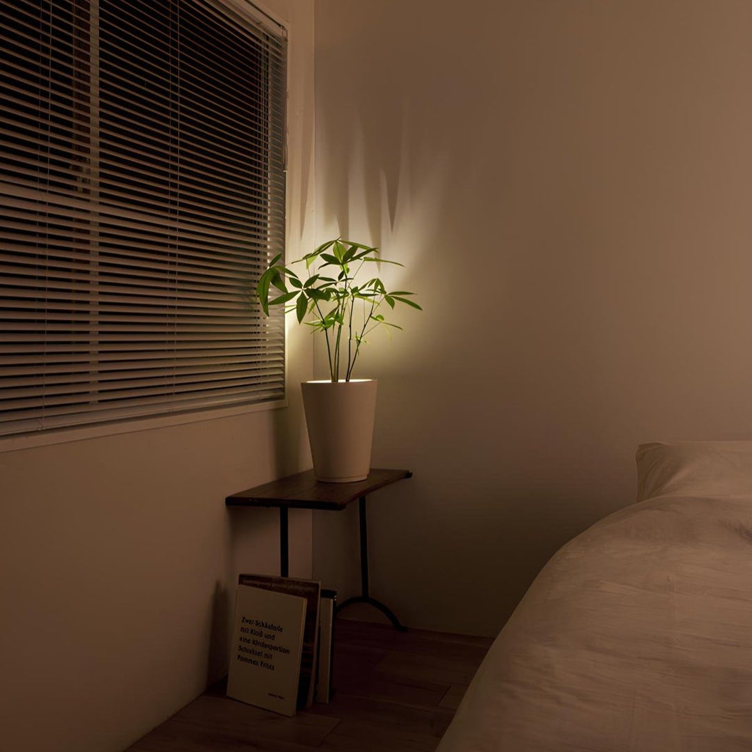 Skanto | LED Spotlight Justerbart Veggmontert