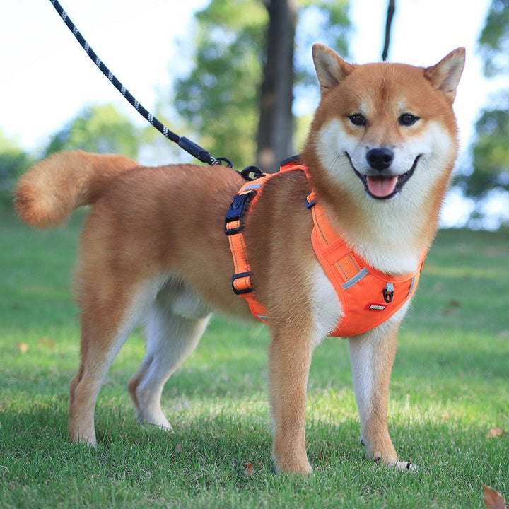 Skanto | WalkEase Sele – Anti-drag hundesele for avslappede turer og sunn holdning