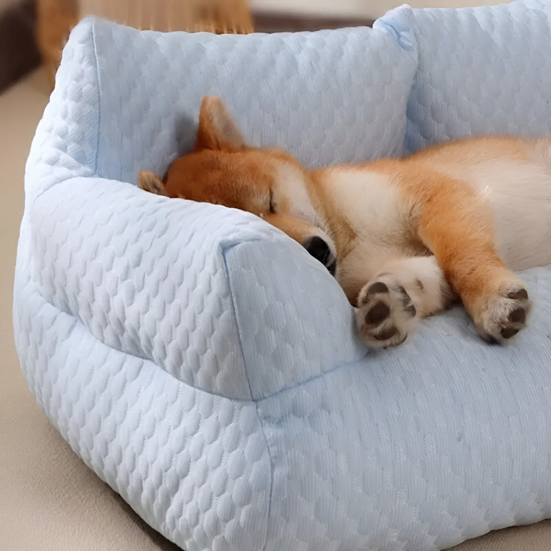 Skanto | Vaskbar Plush Katt- og Hundedyne - CozyPaws