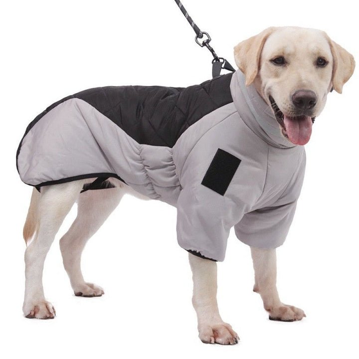 Vanntett Hundekåpe - WeatherPaws Skanto