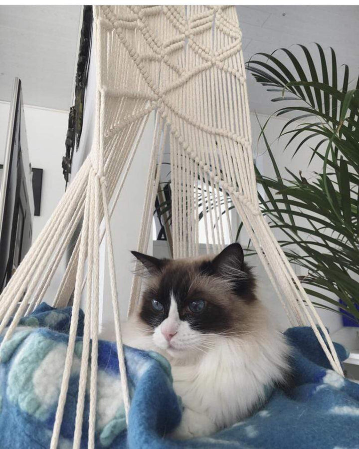 Skanto | Makramee Vegg Henge Katt Seng