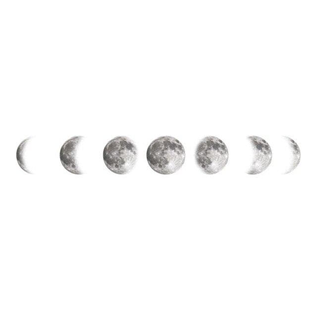 Skanto | Mouth Phases Veggklistremerke